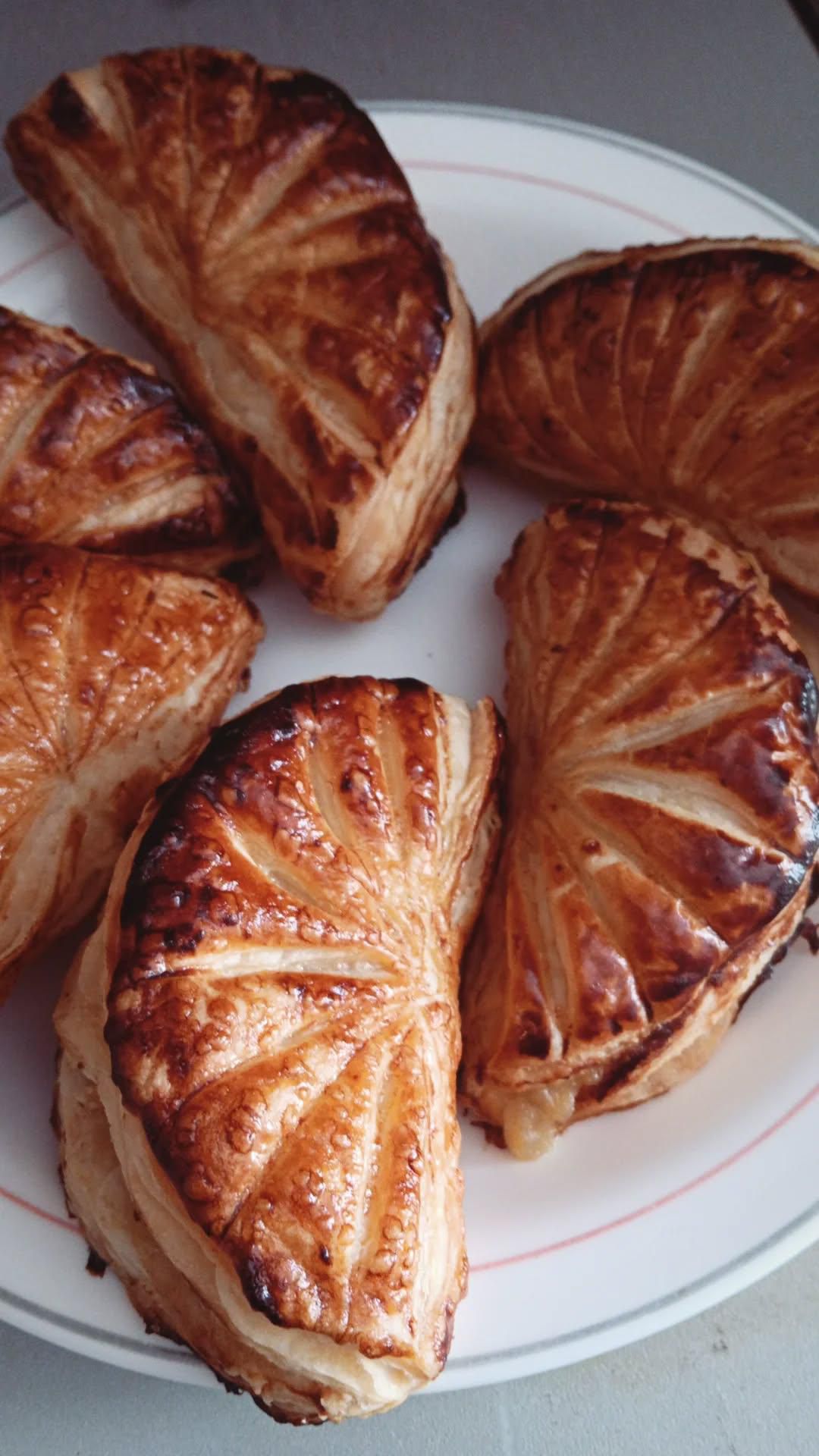 492518115_1232761982188624_7272484855551572173_n